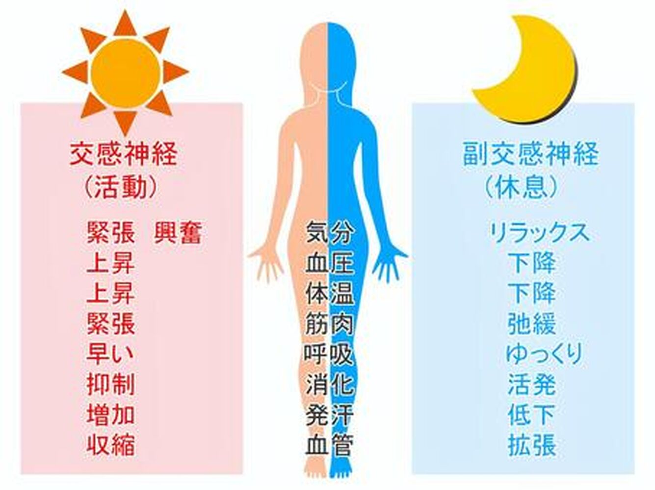 画像2238
